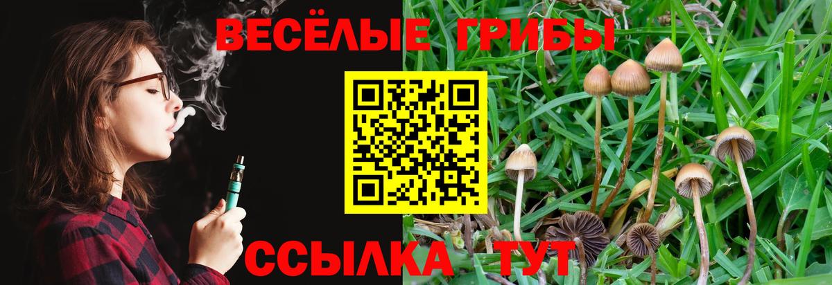 Псилоцибиновые грибы Cubensis Батайск